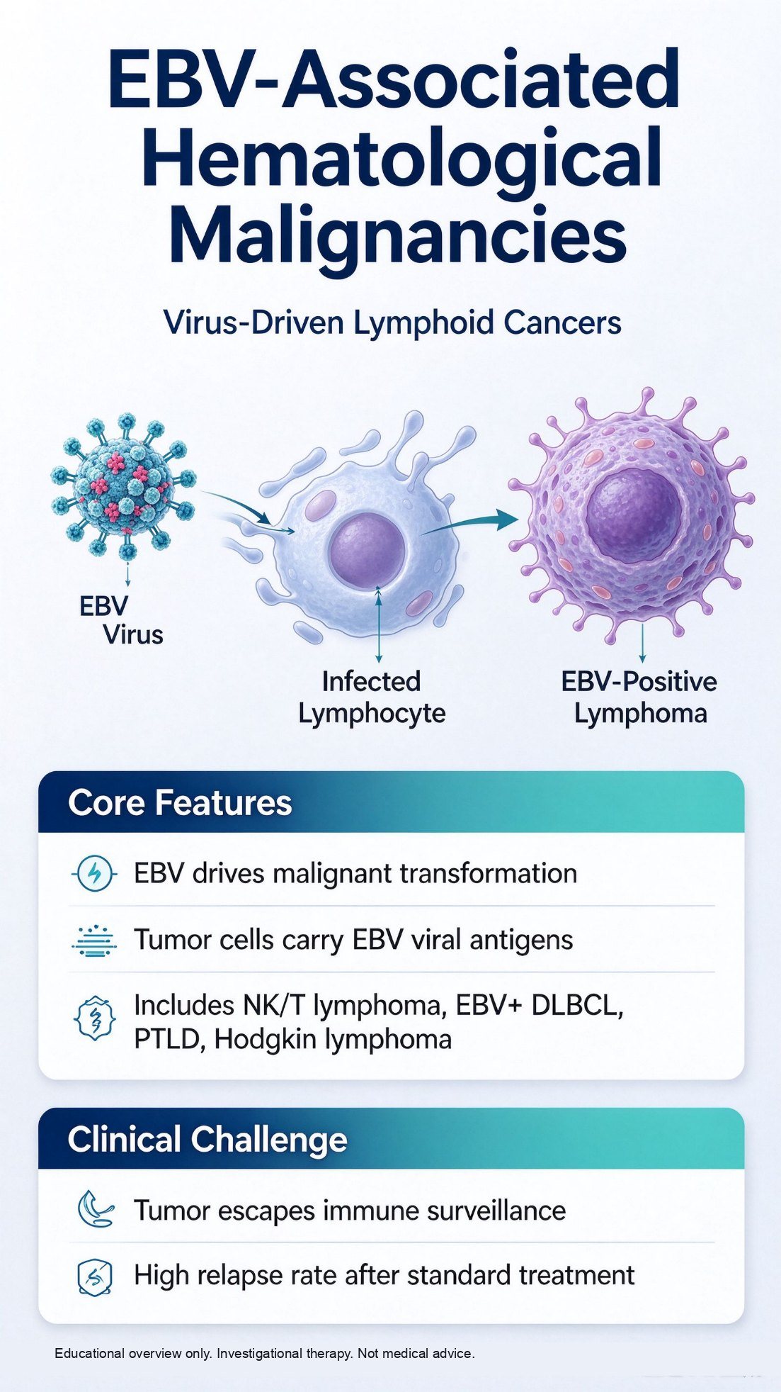 EBV-related blood cancers: the virus infects lymphocytes and tumor cells carry EBV antigens, including NK/T-cell lymphoma, EBV-positive DLBCL, Hodgkin lymphoma, and PTLD